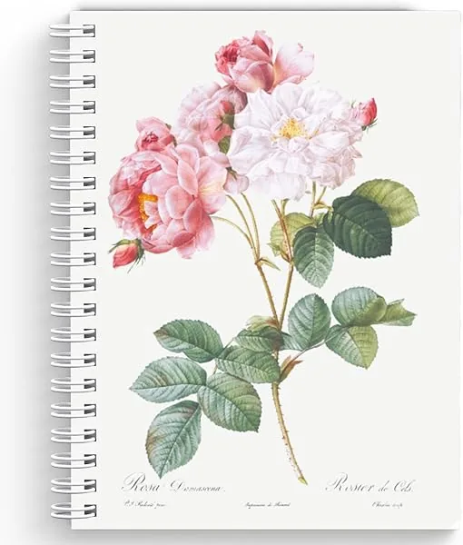 Caderno Pautado Fábrica de Pôster, Rosa Damascena, A5, 80 Folhas